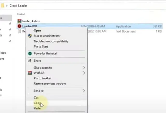 Driver Booster 9 Pro: Hướng dẫn cách tải và cài đặt phần mềm 10 Copy file Loader - IDB