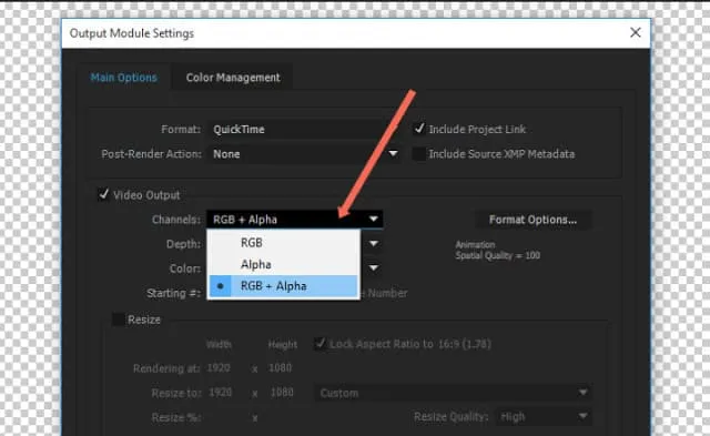 Tất tần tật về xuất file, xuất video trong After Effect 6 Điều chỉnh thông số ở mục Channels