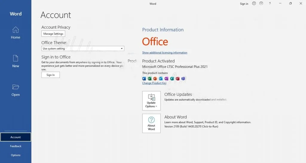 Microsoft Office 2021 8