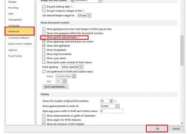 Tổng hợp các lỗi Mathtype thường gặp trong word 2010 và cách khắc phục 2 Tick chọn vào ô "Show picture placeholder" và xác nhận OK