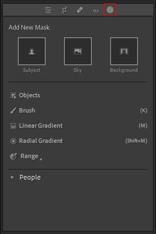 Hướng Dẫn Tải Phần Mềm Lightroom 2023 Mới Nhất 4 Các lựa chọn Masking bằng AI