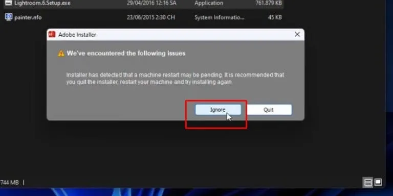 Tải Adobe Lightroom CS6: Phần mềm chỉnh sửa ảnh chuyên nghiệp 6 Chọn Ignore